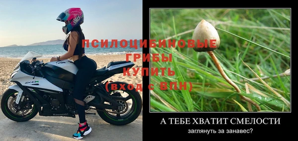 дживик Армянск