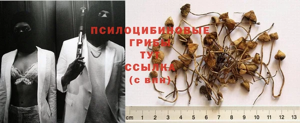 экстази Арсеньев