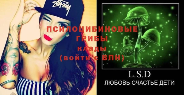 экстази Арсеньев
