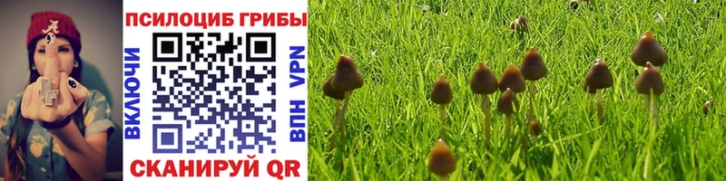 Купить  Узловая  Галлюциногенные грибы ЛСД 